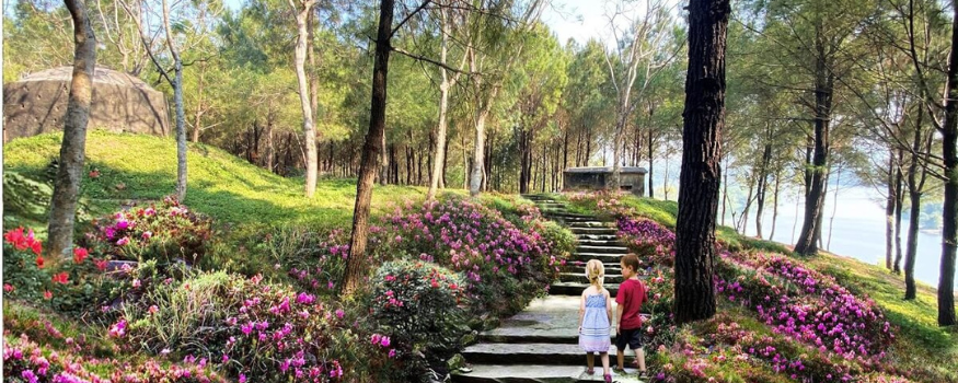 Đồi Vọng Cảnh